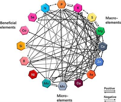 Cross-Talks Between Macro- and Micronutrient Uptake and Signaling in Plants